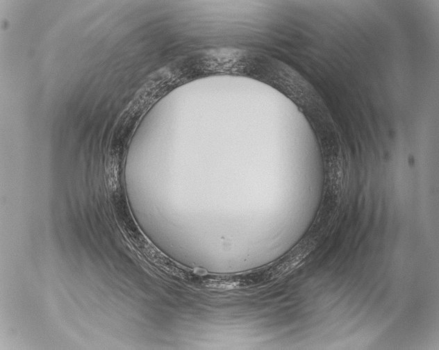 X0000052550602200507291917