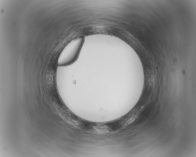 X0000052550603200507291917