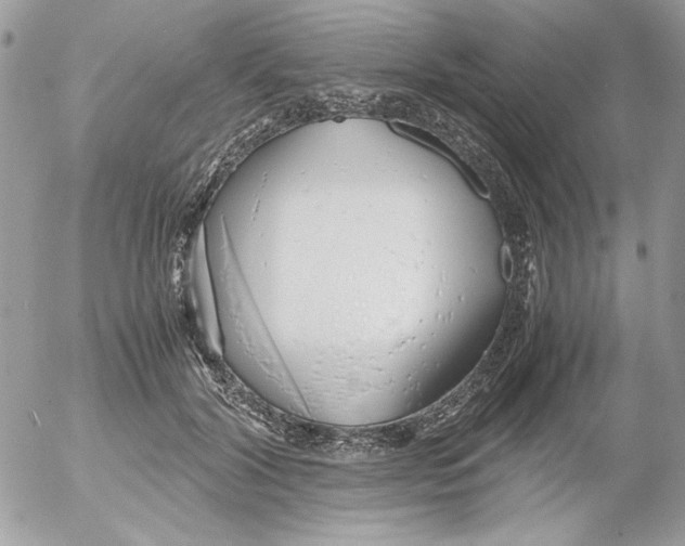 X0000052550604200507291917