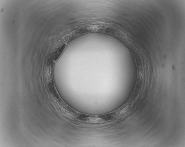 X0000052550605200507291917