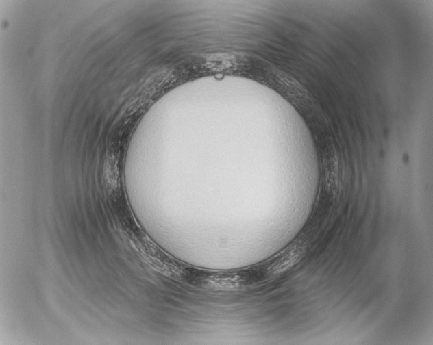 X0000052550606200507291917