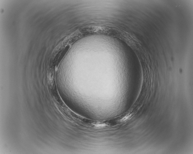 X0000052550607200507291917