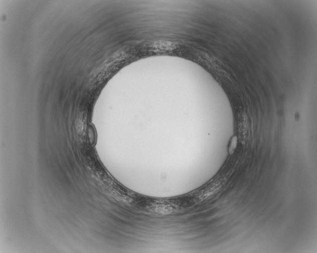 X0000052550608200507291917