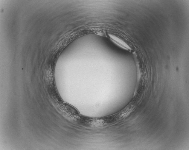 X0000052550609200507291917