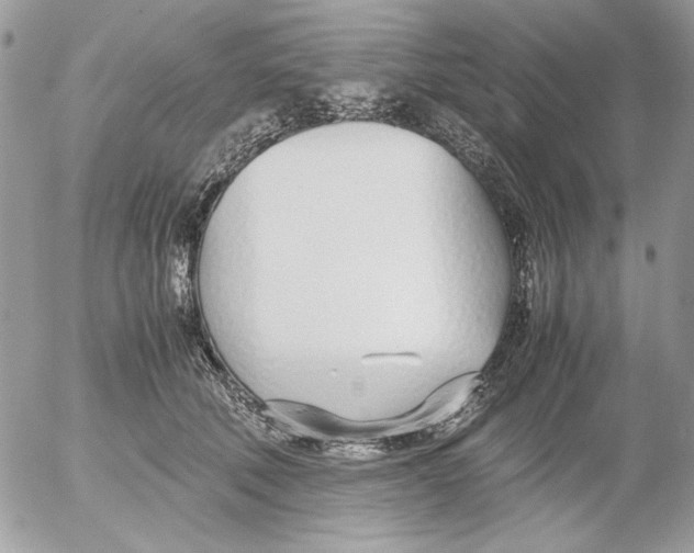 X0000052550610200507291917