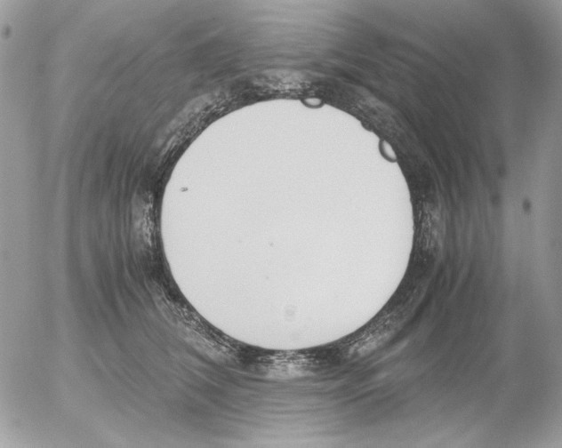 X0000052550612200507291917