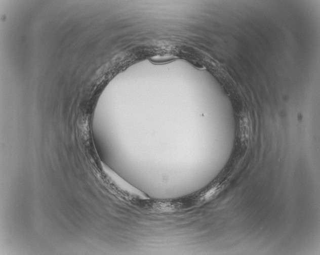 X0000052550613200507291917