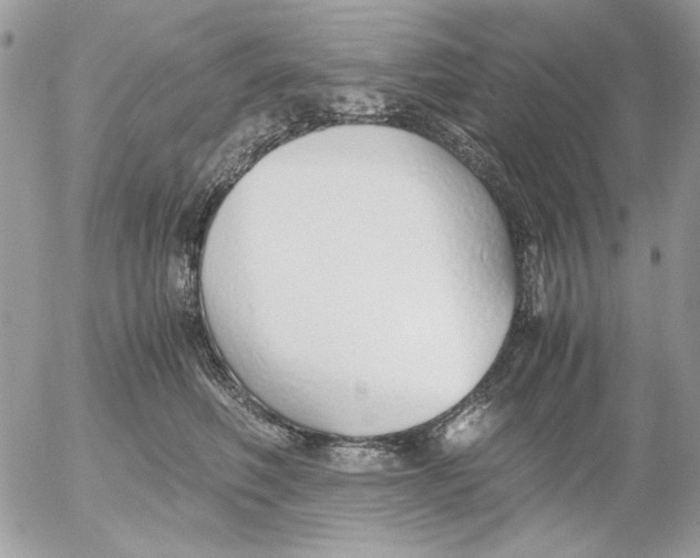 X0000052550614200507291917