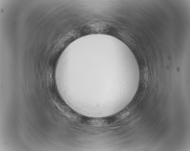 X0000052550615200507291917