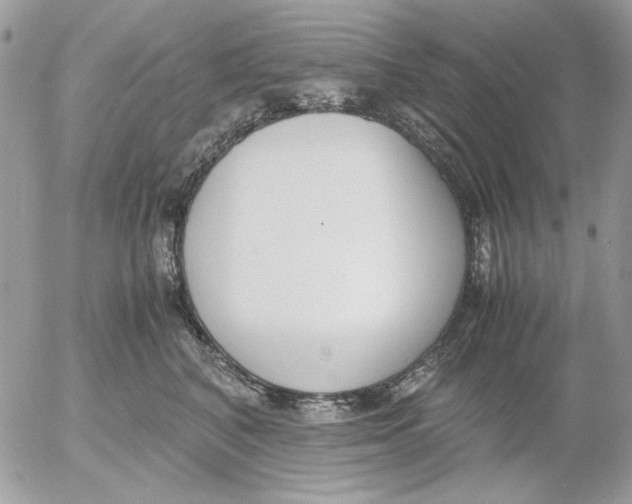 X0000052550616200507291917