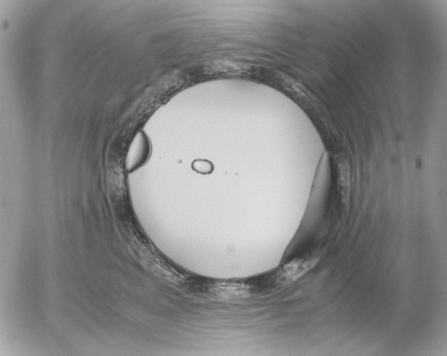 X0000052550617200507291917