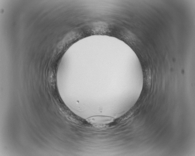 X0000052550619200507291917