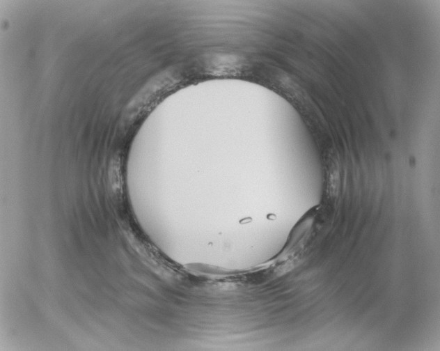 X0000052550620200507291917