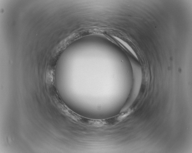 X0000052550621200507291917