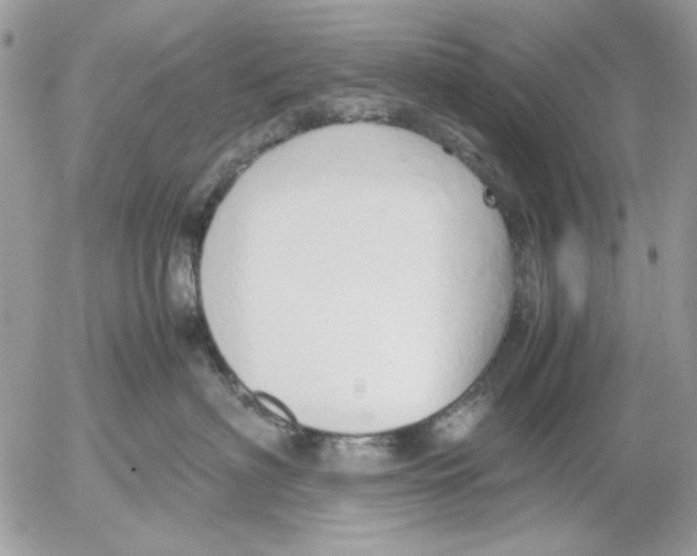 X0000052550622200507291917