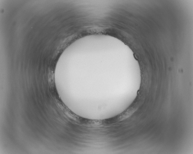 X0000052550624200507291917