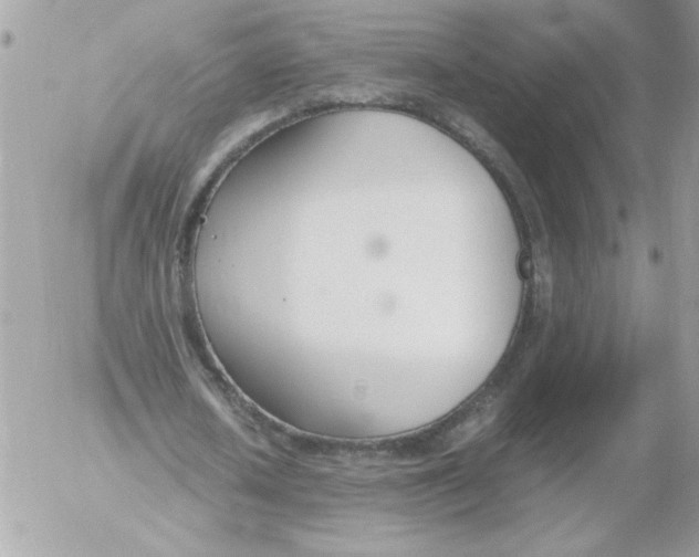 X0000052550626200507291916