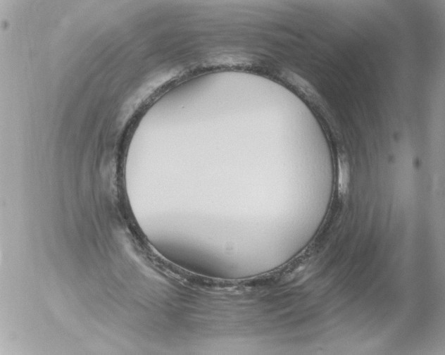 X0000052550627200507291916