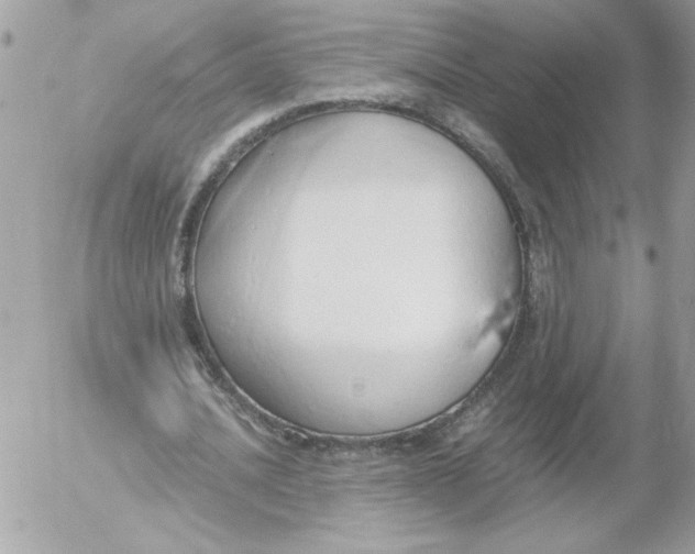 X0000052550628200507291916