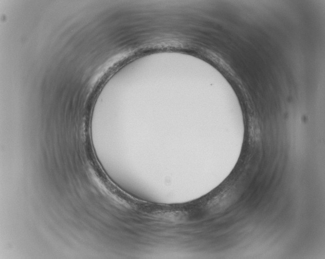 X0000052550629200507291916