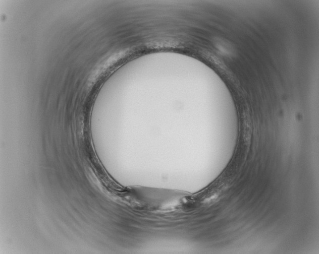 X0000052550631200507291916