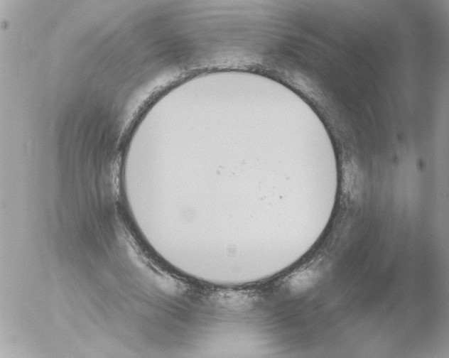 X0000052550632200507291916