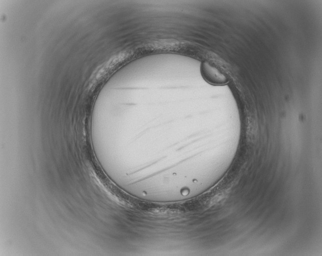 X0000052550633200507291916