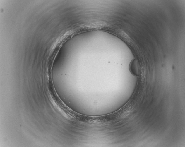 X0000052550634200507291916