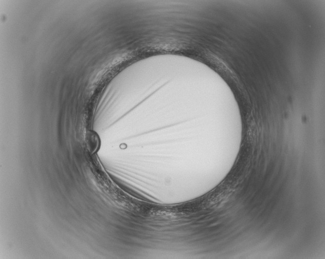 X0000052550635200507291916