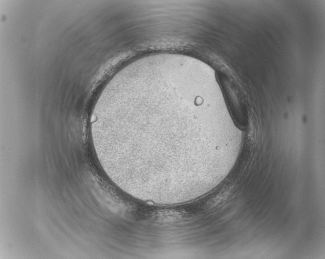 X0000052550636200507291916