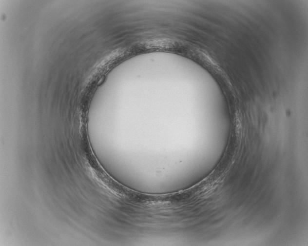 X0000052550637200507291916