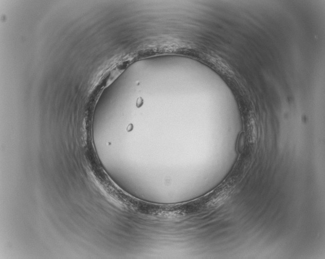 X0000052550638200507291916