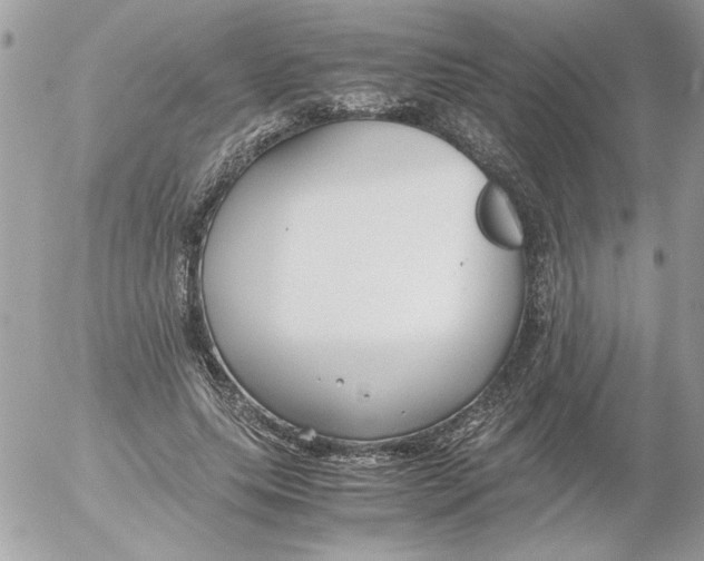 X0000052550639200507291917