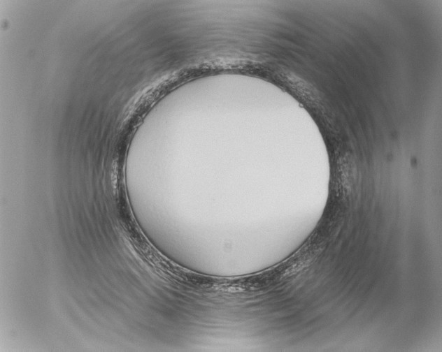 X0000052550640200507291917