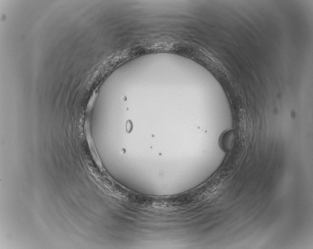 X0000052550641200507291917