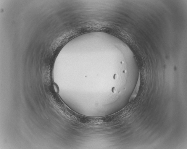 X0000052550642200507291917