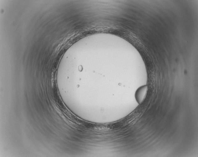 X0000052550644200507291917