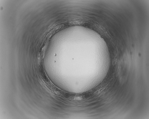 X0000052550647200507291917