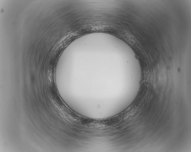 X0000052550648200507291917