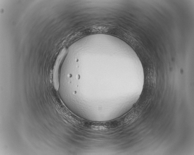 X0000052550649200507291917