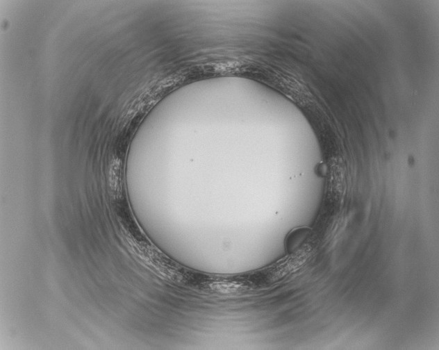 X0000052550650200507291917