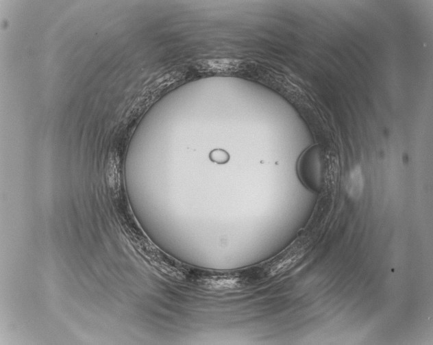 X0000052550651200507291917