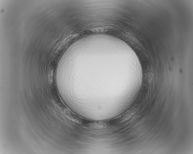 X0000052550652200507291917