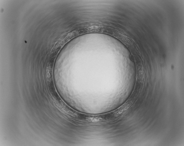 X0000052550654200507291917