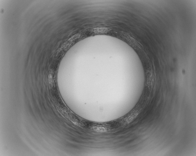 X0000052550655200507291917