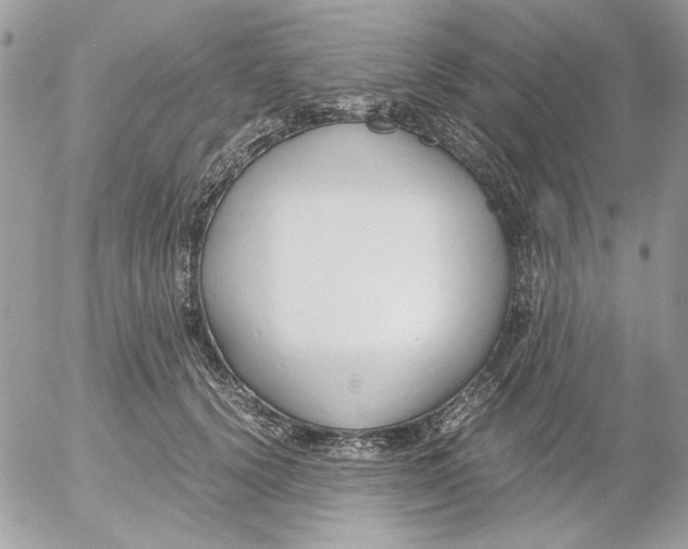 X0000052550656200507291917