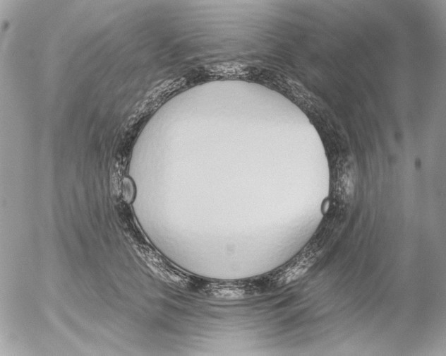 X0000052550658200507291917