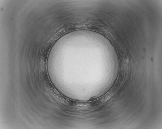 X0000052550659200507291917