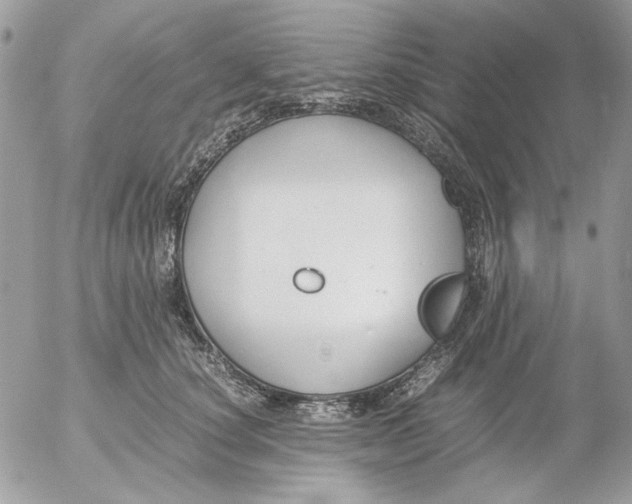 X0000052550660200507291917