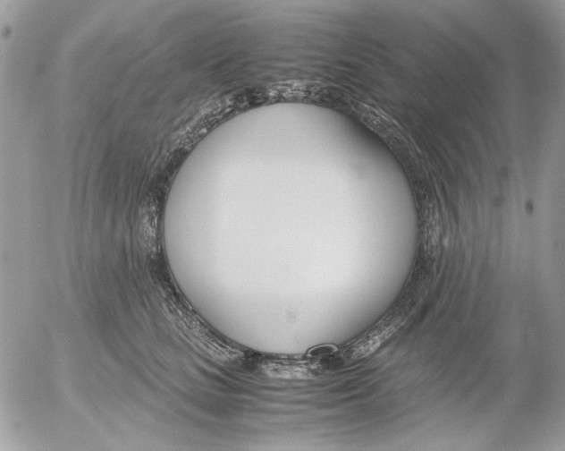 X0000052550661200507291917